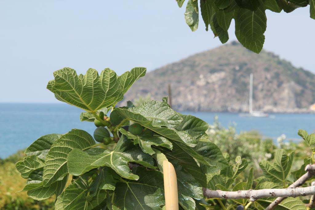 Hotel Maronti Barano dʼIschia المظهر الخارجي الصورة